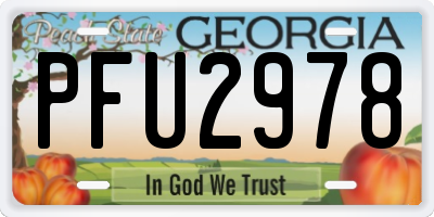 GA license plate PFU2978