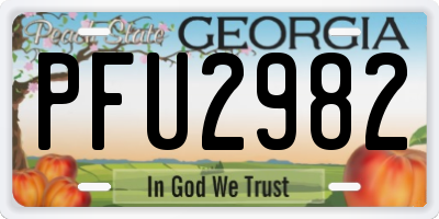 GA license plate PFU2982