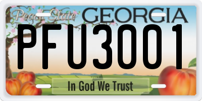 GA license plate PFU3001