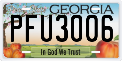 GA license plate PFU3006