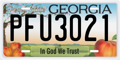 GA license plate PFU3021