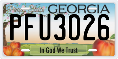 GA license plate PFU3026