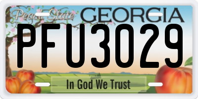 GA license plate PFU3029