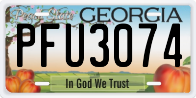 GA license plate PFU3074