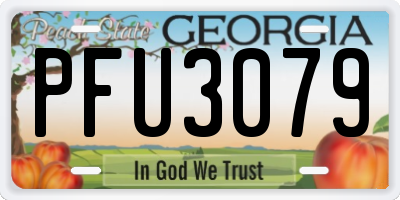 GA license plate PFU3079