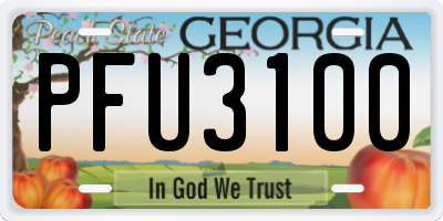 GA license plate PFU3100