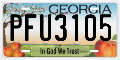 GA license plate PFU3105