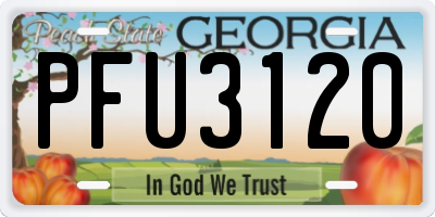 GA license plate PFU3120