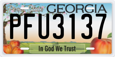 GA license plate PFU3137