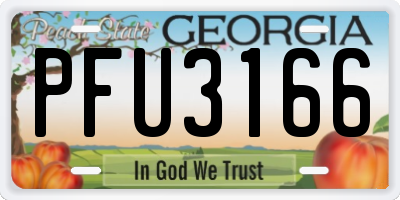 GA license plate PFU3166