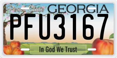 GA license plate PFU3167