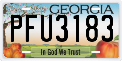 GA license plate PFU3183