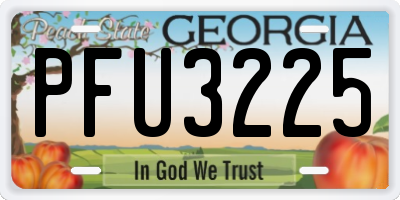 GA license plate PFU3225