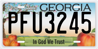 GA license plate PFU3245