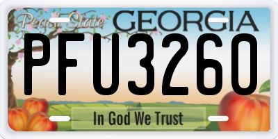 GA license plate PFU3260