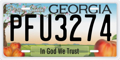GA license plate PFU3274