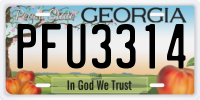 GA license plate PFU3314