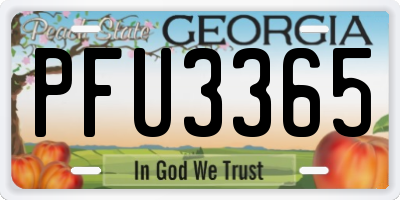 GA license plate PFU3365