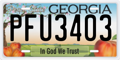 GA license plate PFU3403