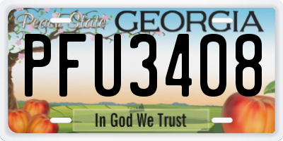 GA license plate PFU3408