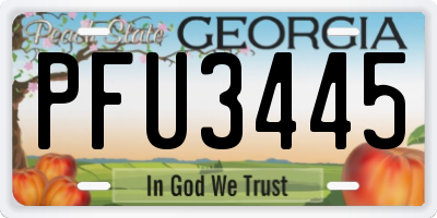 GA license plate PFU3445