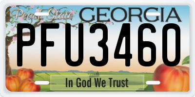 GA license plate PFU3460