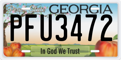 GA license plate PFU3472
