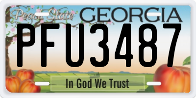 GA license plate PFU3487