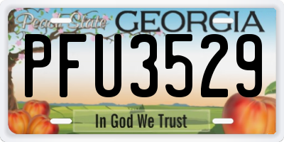 GA license plate PFU3529