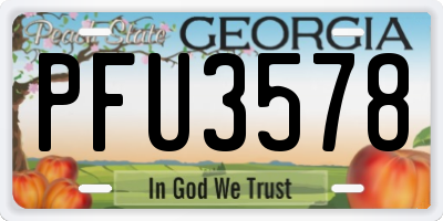 GA license plate PFU3578