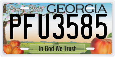 GA license plate PFU3585