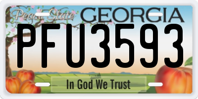 GA license plate PFU3593
