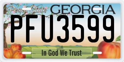 GA license plate PFU3599