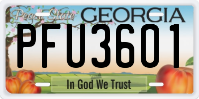 GA license plate PFU3601