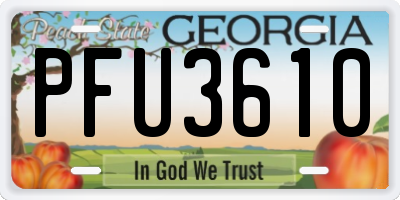 GA license plate PFU3610