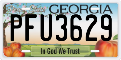 GA license plate PFU3629
