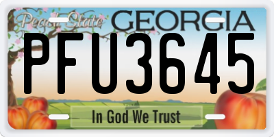 GA license plate PFU3645