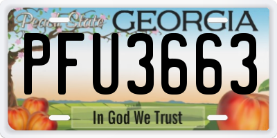 GA license plate PFU3663