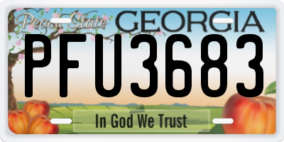 GA license plate PFU3683