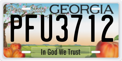 GA license plate PFU3712