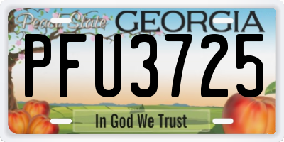 GA license plate PFU3725