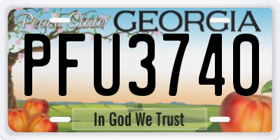 GA license plate PFU3740