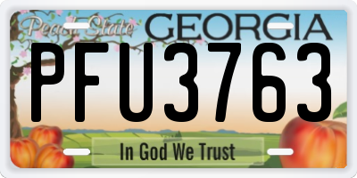 GA license plate PFU3763