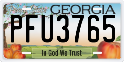 GA license plate PFU3765