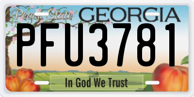 GA license plate PFU3781