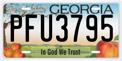 GA license plate PFU3795