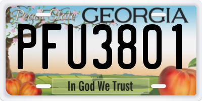 GA license plate PFU3801