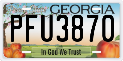 GA license plate PFU3870