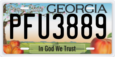 GA license plate PFU3889