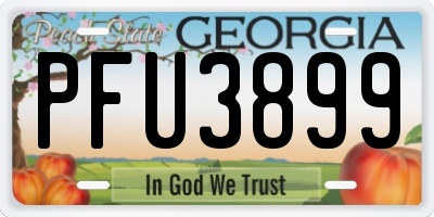 GA license plate PFU3899